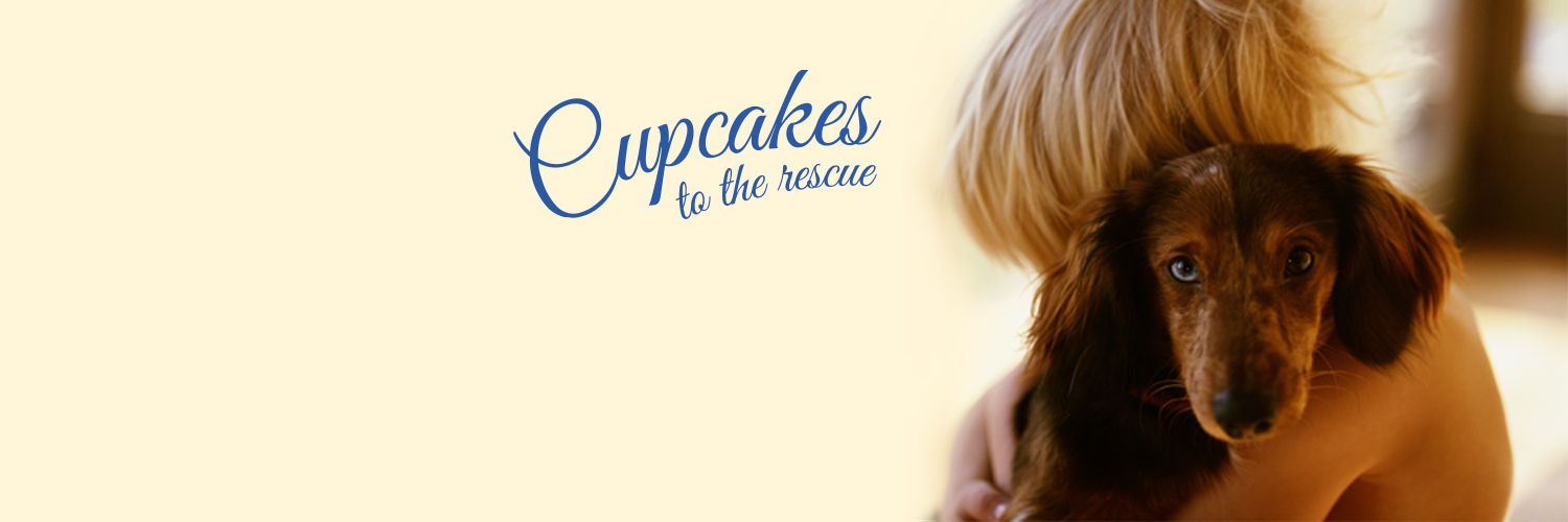 2016 National Cupcake Day™ Twitter Cover