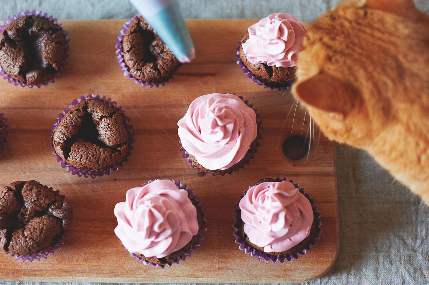 national-cupcake-day-select-your-location-national-cupcake-day