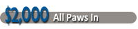 All Paws In.png