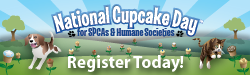 2015 National Cupcake Day email signature