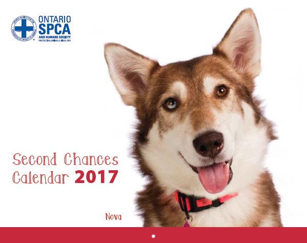2017 Second Chances Calendar