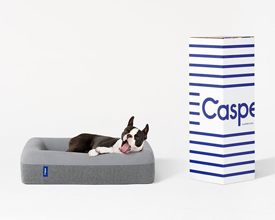 Casper Pet Bed