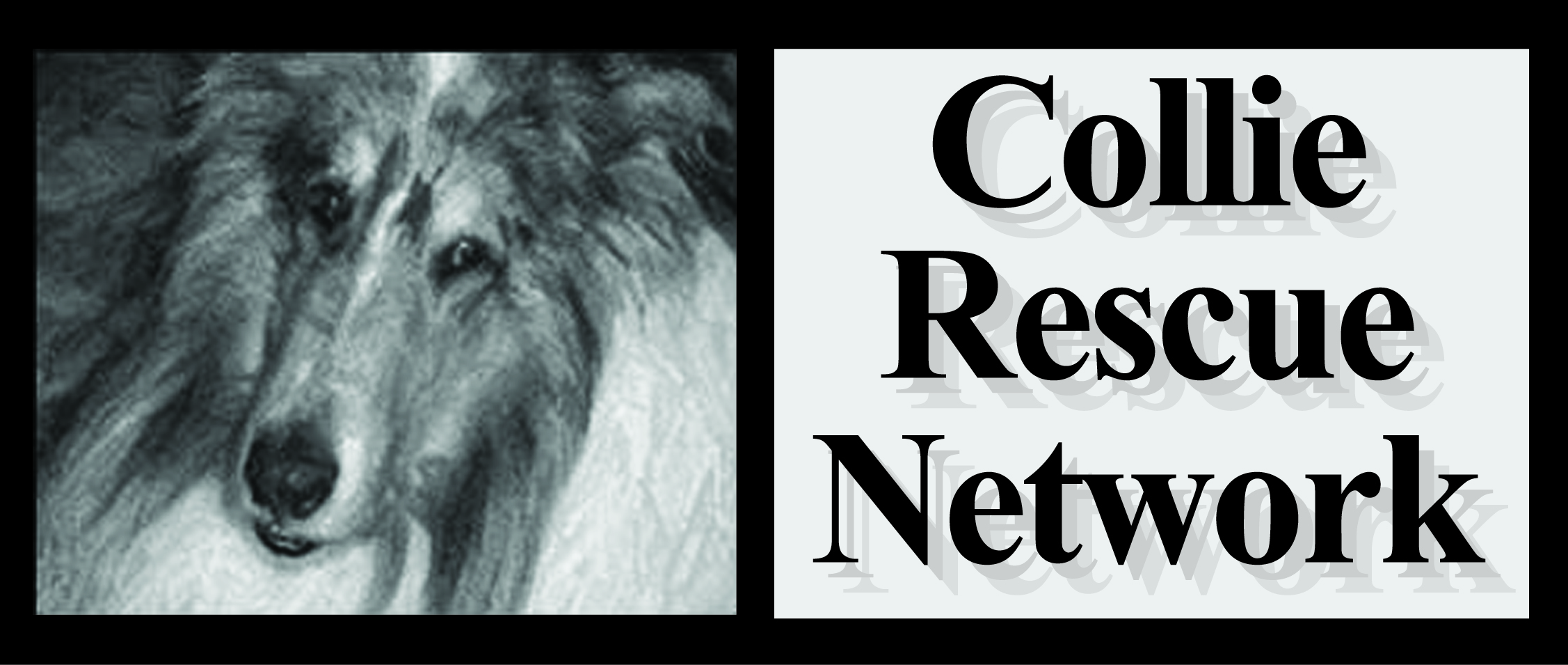 Collie Rescue Network