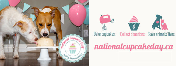 Cupcake Day newshound banner