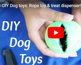 DIY Dog Toy