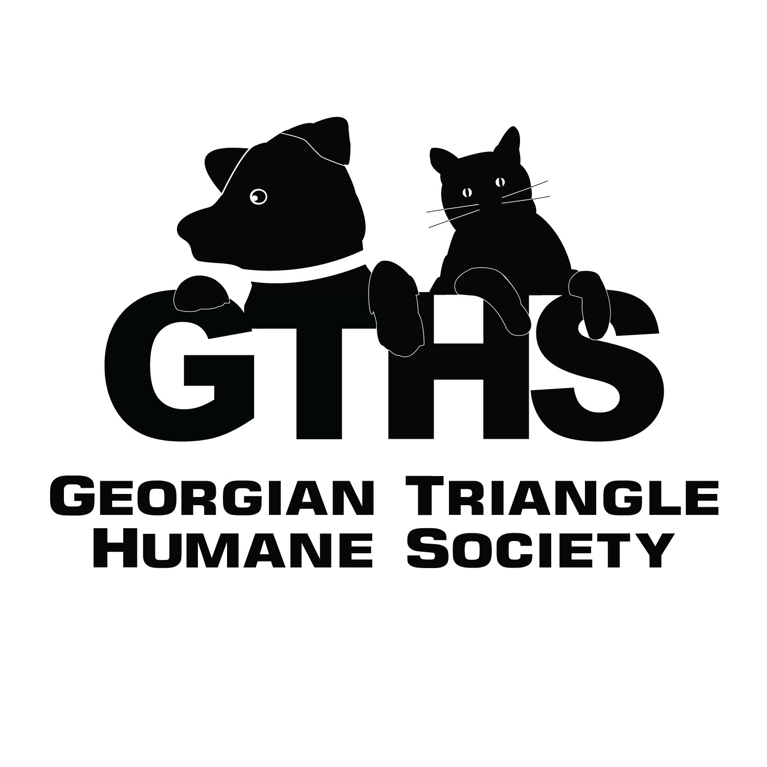 Georgian Triangle HS