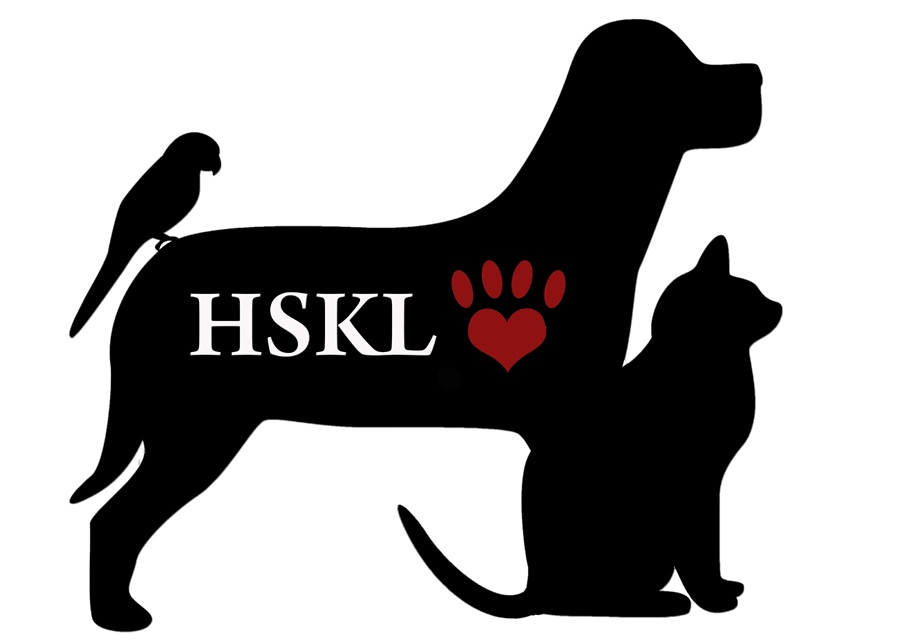 HSKL Logo