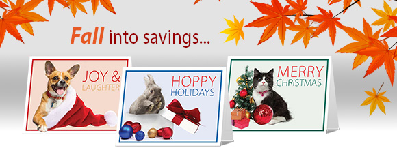 PG Holiday Cards newshound banner