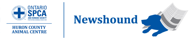 Huron newshound logo
