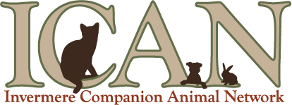 ICAN logo