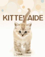 Kitten AIde