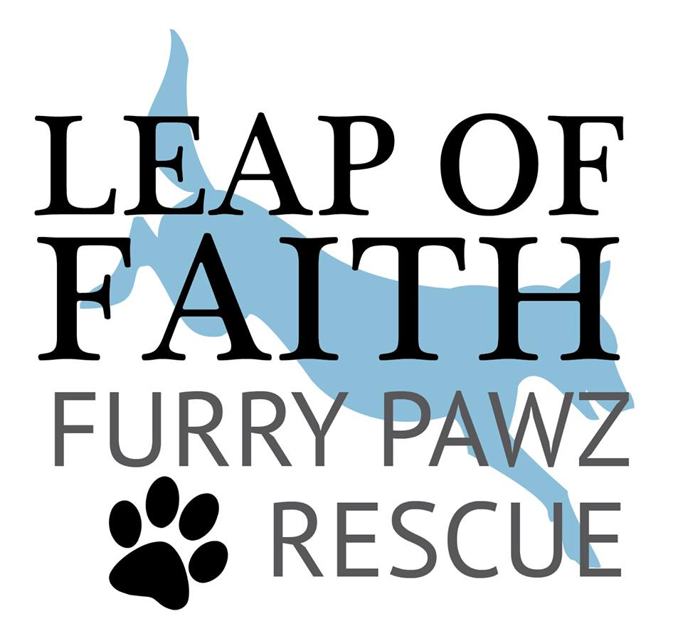 Leap of Faith Rescue