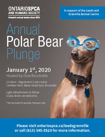 Polar Plunge Poster