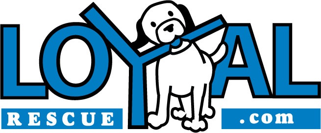 Loyal Rescue logo