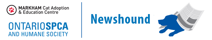 Markham Newshound logo