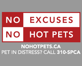 No Hot Pets