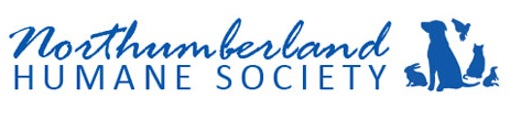 Northumberland logo,