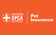 OSPCA Pet Insurance Ad