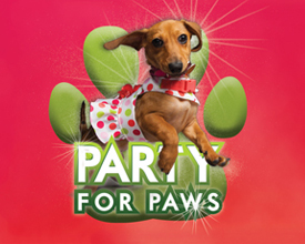 Party for Paws
