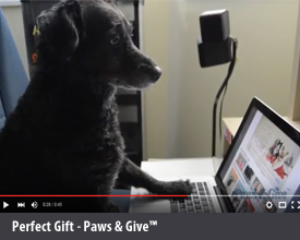Paws &amp; Give Video