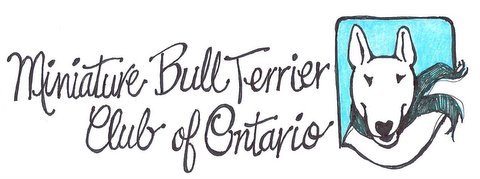 Bull Terrier Club of Ontario