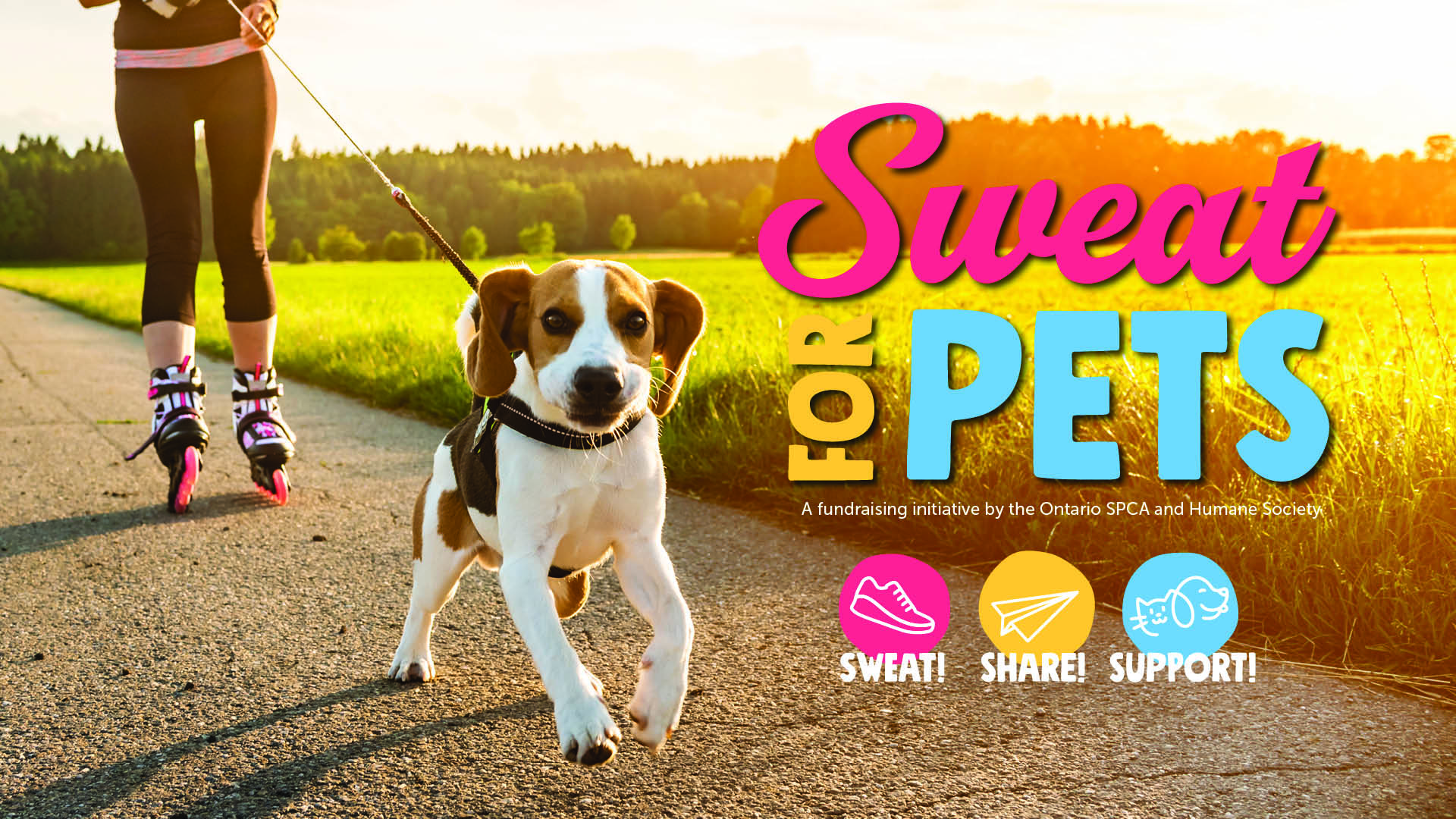 Sweat for Pets Social Media Image