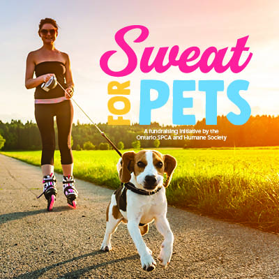 Sweat for Pets Twitter