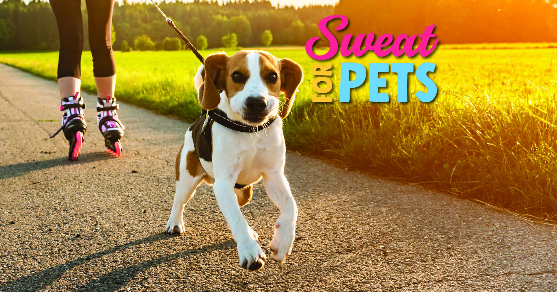 Sweat for Pets Facebook Cover Photo