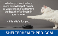 newshound ad shelter health pro
