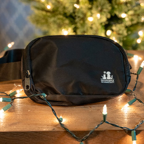 Free Gift - Ontario SPCA Belt Bag!