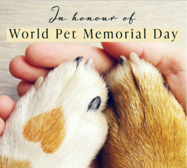 World Pet Memorial Day 2022 - Dog